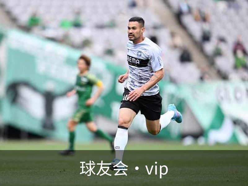 球友会·vip简介